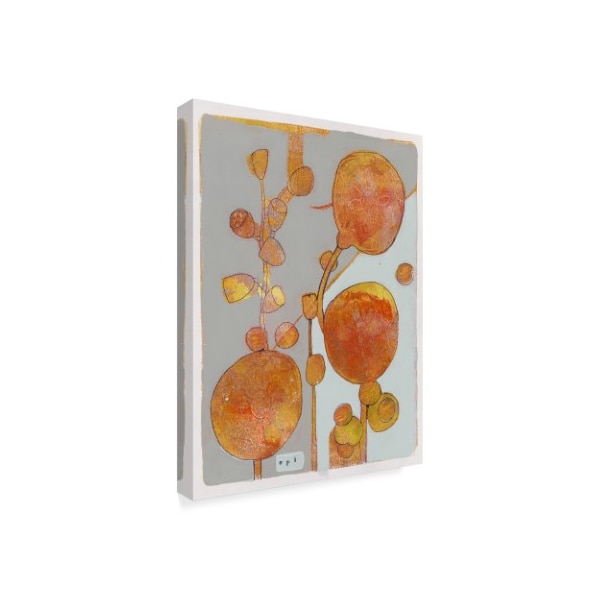 Maria Pietri Lalor 'Orange Seed Pods' Canvas Art,18x24